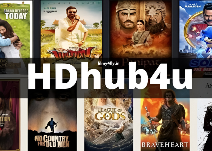 HD Hub B4u